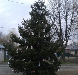 Zdobenie obecného vianočného stromčeka - A községi karácsonyfa díszítése 