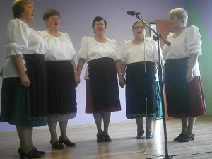 Spevácky a tradicionálny súbor z Čečejoviec-A csécsi éneklő és hagyományőrző csoport