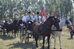 Sprievod kočov - A fogatok felvonulása