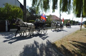 Sprievod kočov - A fogatok felvonulása