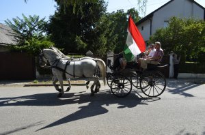 Sprievod kočov - A fogatok felvonulása