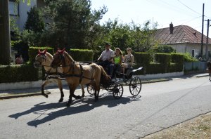 Sprievod kočov - A fogatok felvonulása