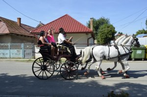 Sprievod kočov - A fogatok felvonulása