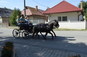 Sprievod kočov - A fogatok felvonulása